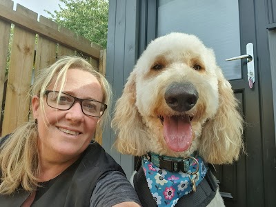 Grooming Van Image
