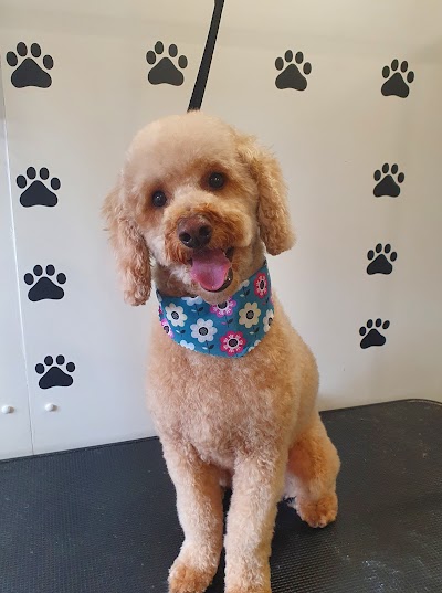 Doggywood Pet Grooming