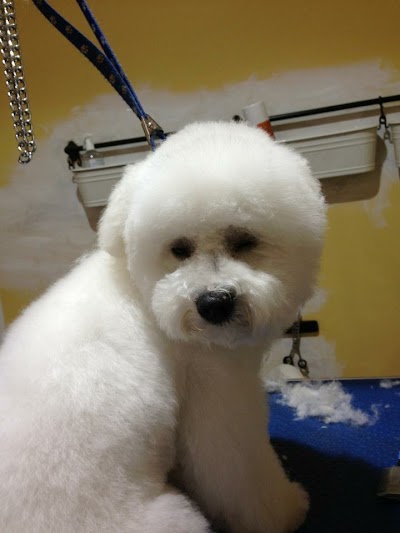 Grooming Van Image