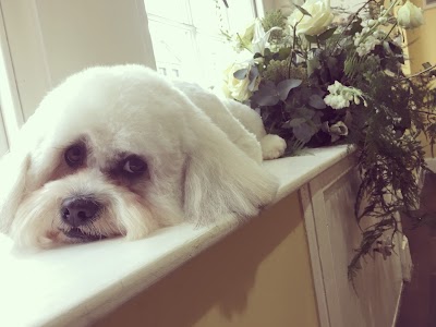 Grooming Van Image