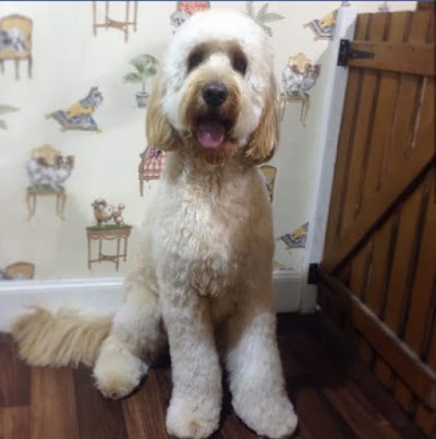Grooming Van Image