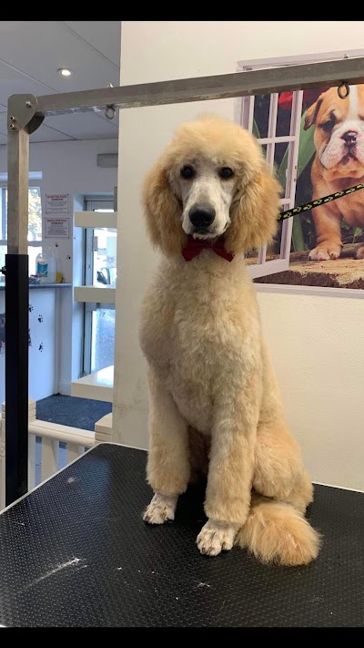 Grooming Van Image