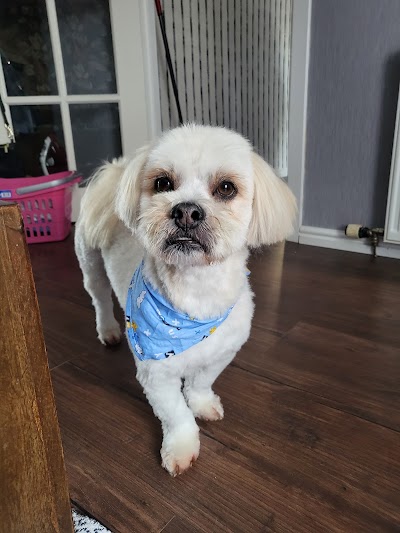 Grooming Van Image