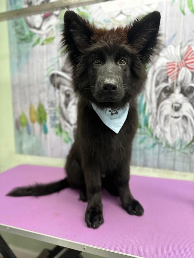 Grooming Van Image
