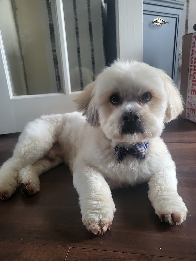 Grooming Van Image
