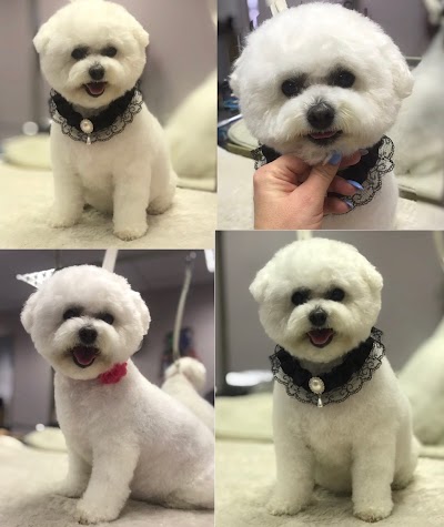 Grooming Van Image