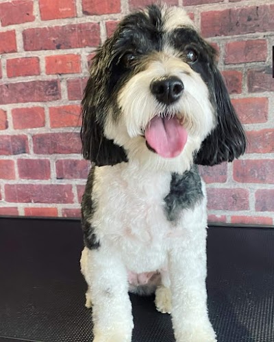 Grooming Van Image