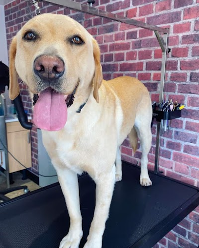 Grooming Van Image