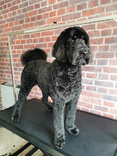 Grooming Van Image