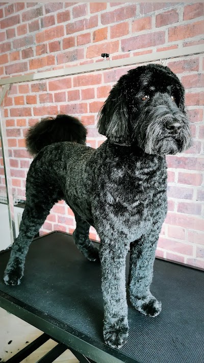 Grooming Van Image