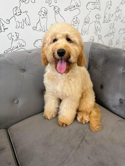 Grooming Van Image