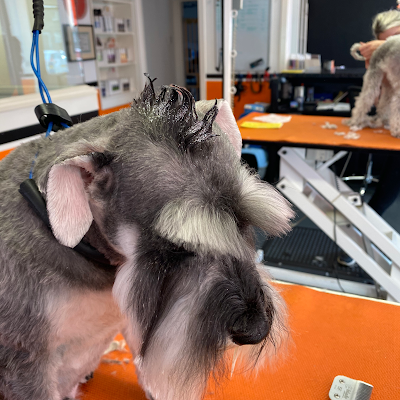 Grooming Van Image