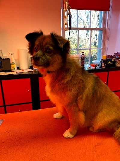 Grooming Van Image