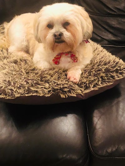 Grooming Van Image