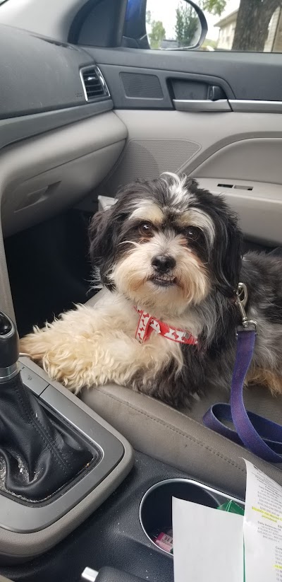Grooming Van Image