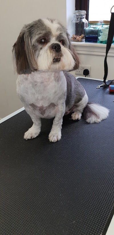 Grooming Van Image