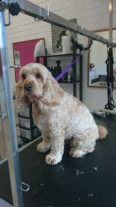 Grooming Van Image
