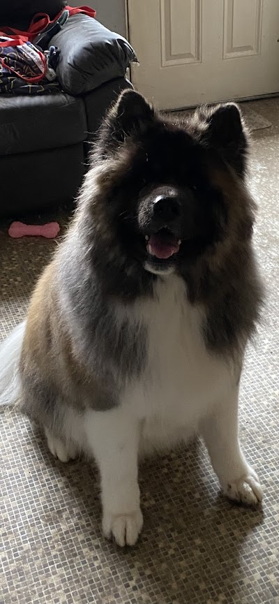 Grooming Van Image
