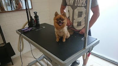 Grooming Van Image