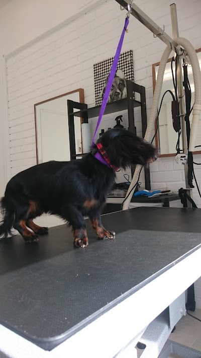 Grooming Van Image