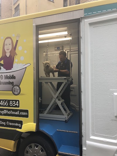 Grooming Van Image