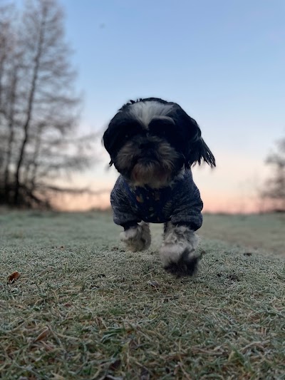 Grooming Van Image