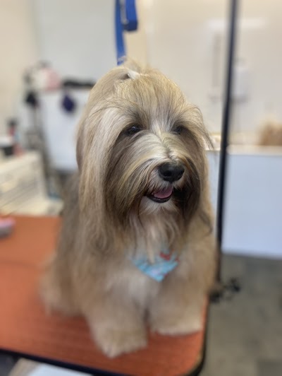 Grooming Van Image