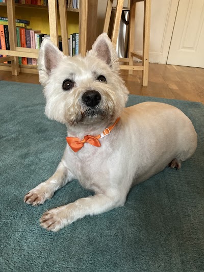 Grooming Van Image