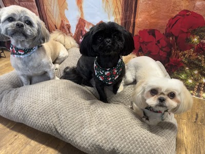 Grooming Van Image