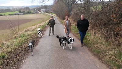 Legerwood Dog Grooming