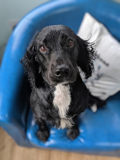 Grooming Van Image