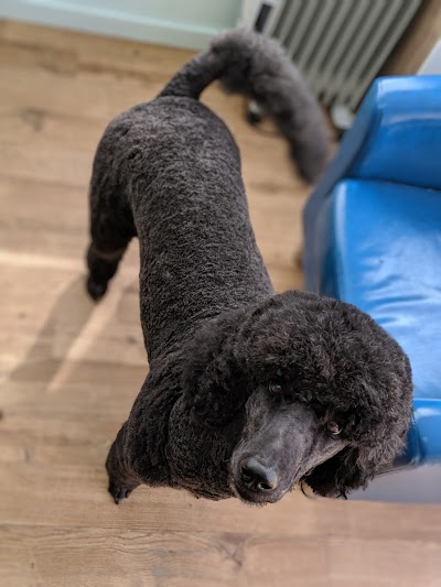 Grooming Van Image