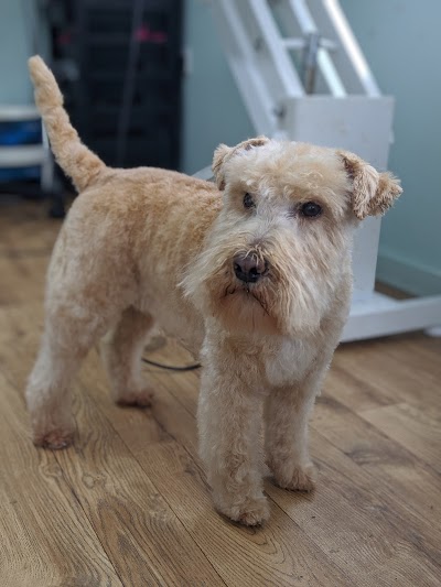 Grooming Van Image