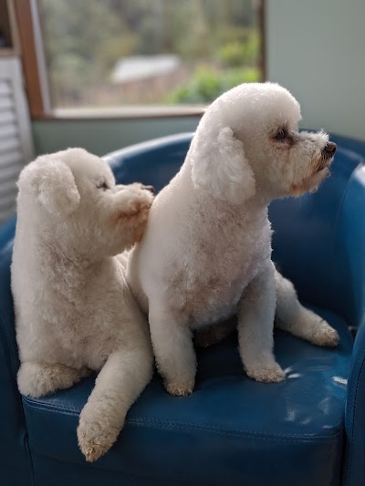 Grooming Van Image