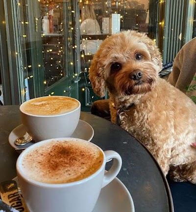 Luv a Dug
