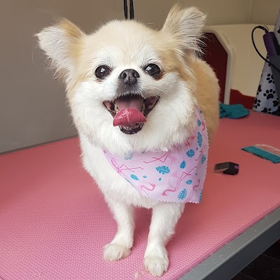 Grooming Van Image