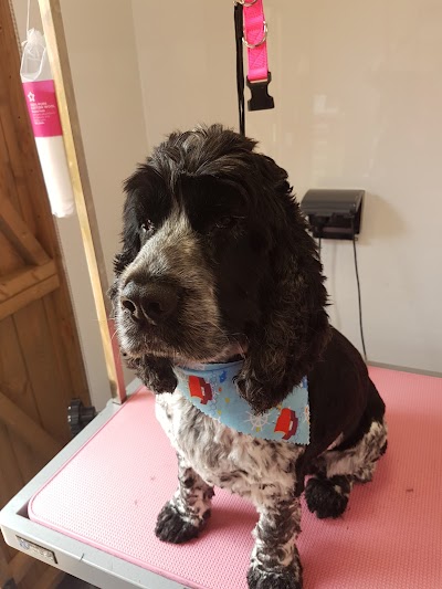 Grooming Van Image