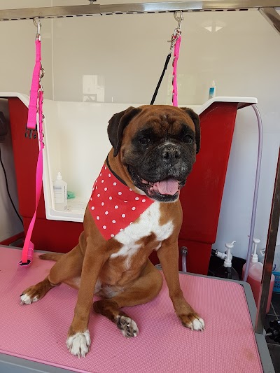Grooming Van Image