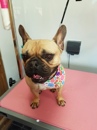 Grooming Van Image