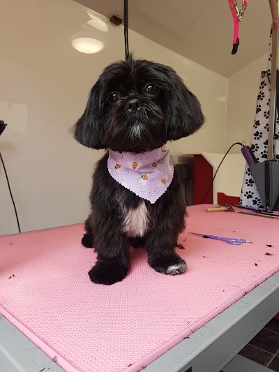 Grooming Van Image