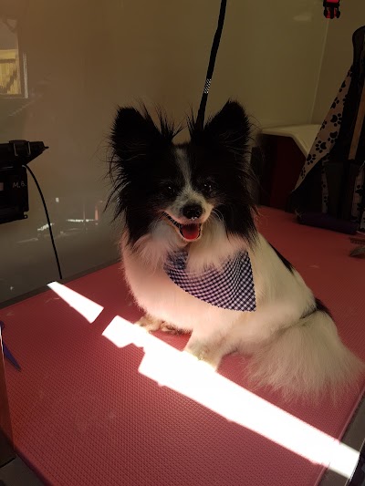 Grooming Van Image