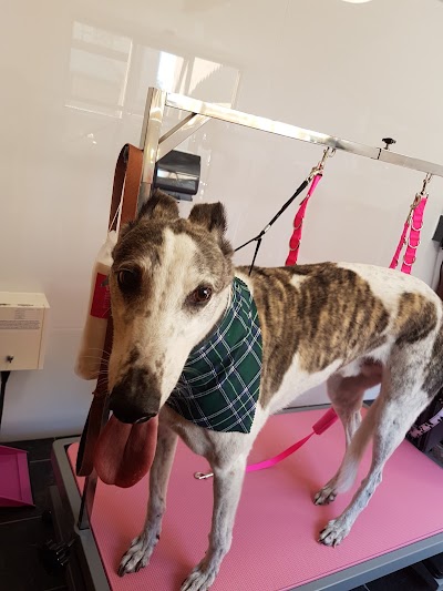 Grooming Van Image
