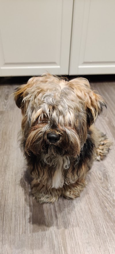 Grooming Van Image