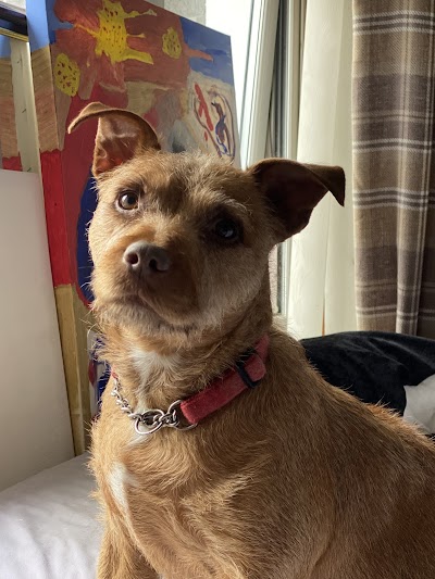 Grooming Van Image