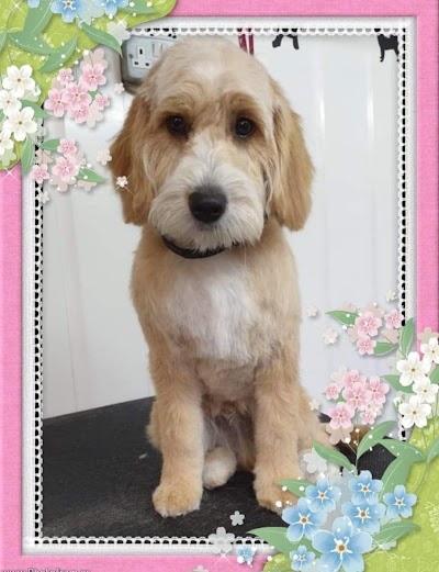 Mutt Cutz