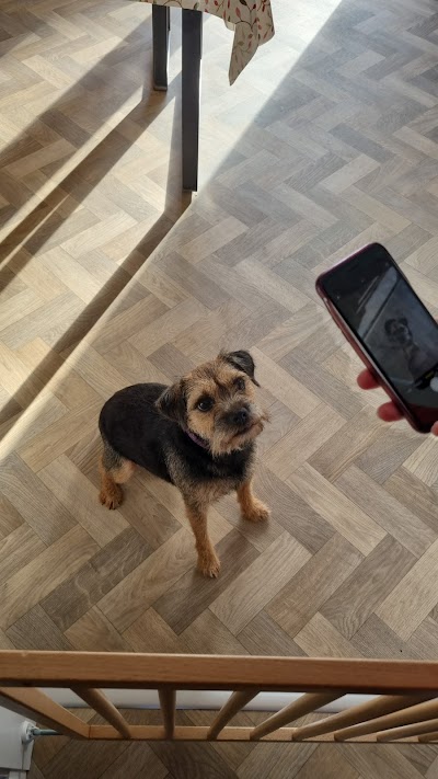 Grooming Van Image