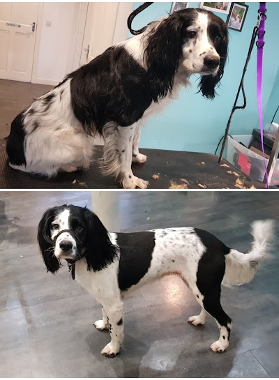 Grooming Van Image