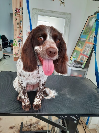 Grooming Van Image
