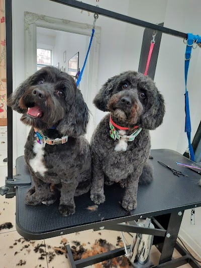 Grooming Van Image