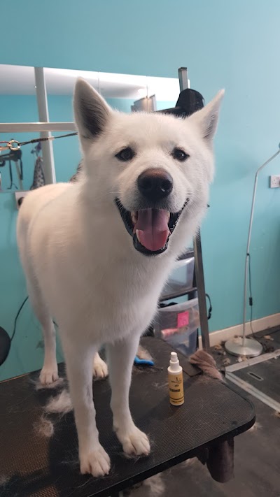 Grooming Van Image